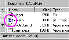 perl file in Explorer Window